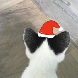 十二圣诞月(Prod by.ChunLi128)