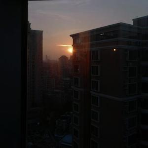 Mellow Sunset
