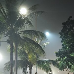 新鲜感是幸福倒计时