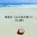 雨花石 (心儿似火烧～)(DJ版)