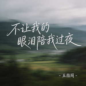 不让我的眼泪陪我过夜（抖音热播版）