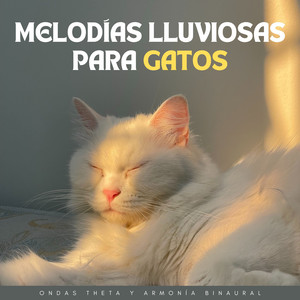 Maullidos Suaves