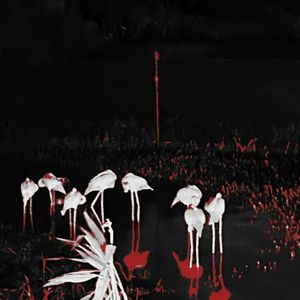 DEATH FORGETTING