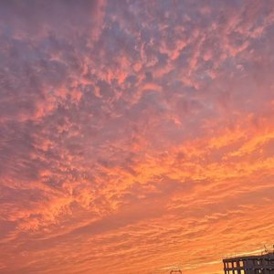 《泥鳅·杀青》