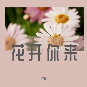 花开你来伴奏WAV