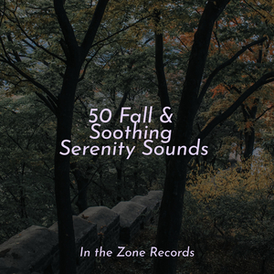 Journey Across Space