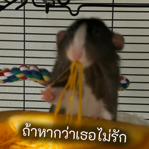 ถ้าหากว่าเธอไม่รัก