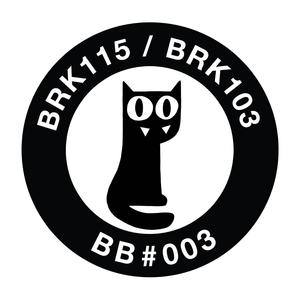 BRK 103