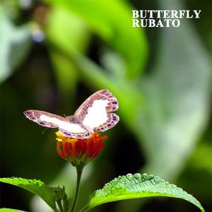 바람보다 가볍게