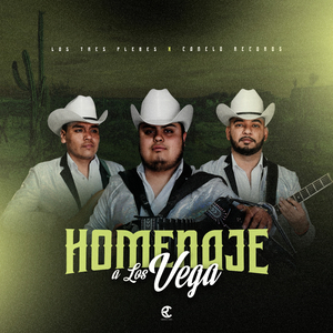 Quedate Conmigo Esta Noche