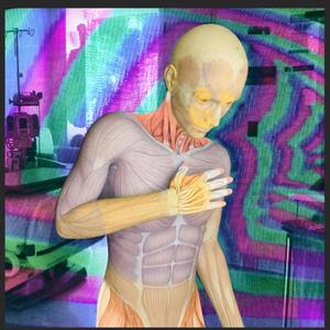 Sotenbori Battle Royale 99 (feat. Winterquilt)