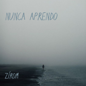 Nunca Aprendo