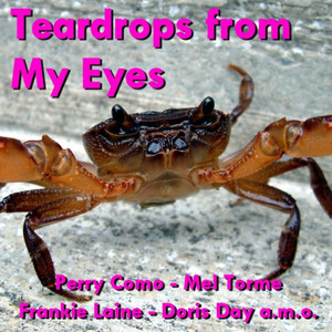 Can Anyone Explain? (No!No!No!)