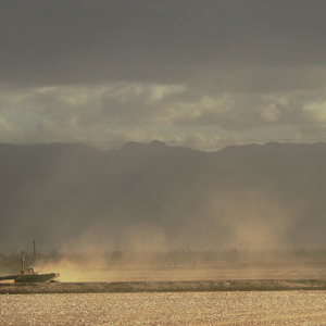 你不来我不想老