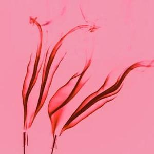 冥想音乐 五行水能