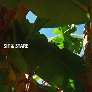 Sit & Stare
