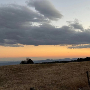 beats with hook no free,给老婆赚零花钱
