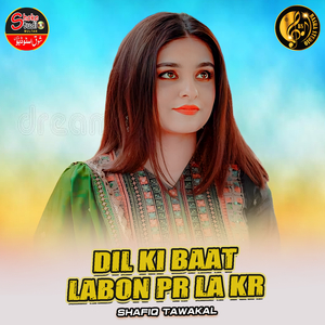 Dil Ki Baat Labon Pr La Kr (1)