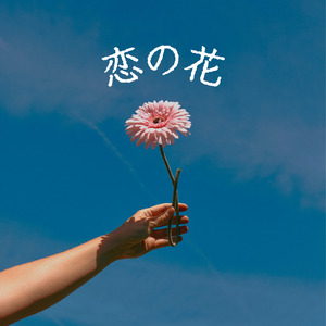 恋の花