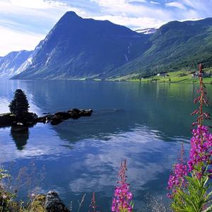 我来自美丽的瑶山