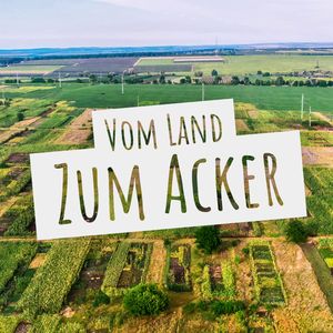 Klatsch und Friede