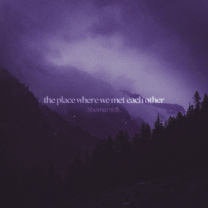 the place where we met each other