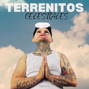 Terrenitos Celestiales