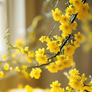 尚士达-生而为人