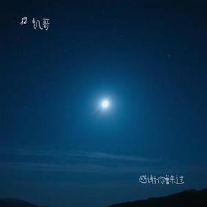 感谢你曾来过 (凯哥 Remix)