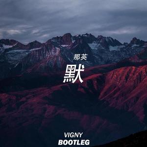 那英-默（Vigny Bootleg Extended Mix）