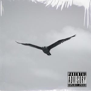 【Free】鸟bird-140bpm-E min