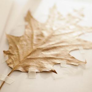 [FREE]"起点"-pop type beat