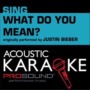 What Do You Mean (Originally Performed by Justin Bieber) [Karaoke Version]