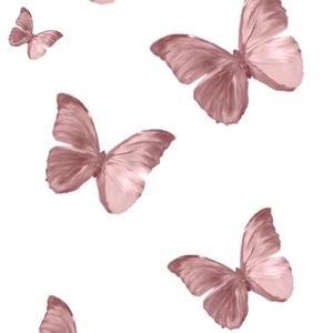 邮寄心动 PROD BY FaunmU/Charon