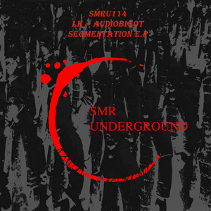 Segmentation (Audio Bigot Remix)
