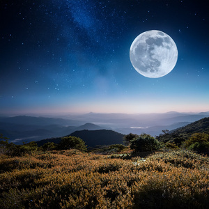 El Suave Rayo De Luna
