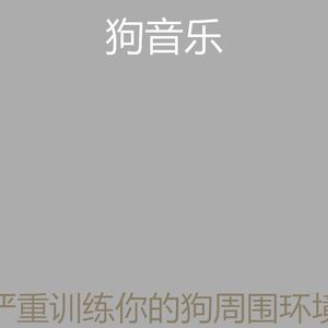 一尘不染可爱的狗印象数