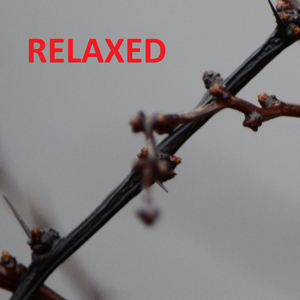 Lay Back (Sea Sound)