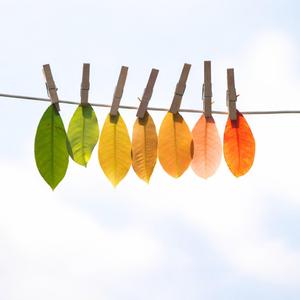 Yeni Müziği Bekleyenler (Orijinal Tiyatro Müziği)