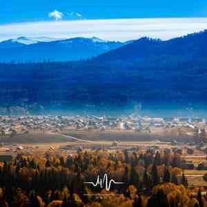 风林禅 (静心修行笛子曲)