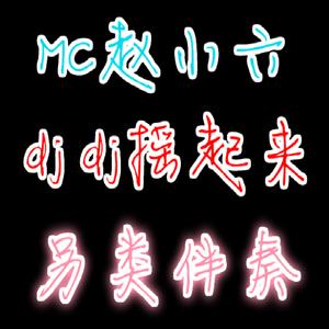 dj赵小六-电音摇头 MC赵小六