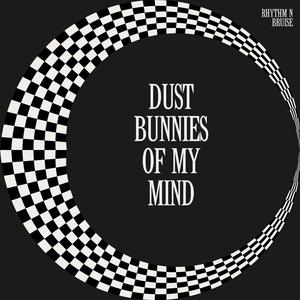 Dust Bunnies Of My Mind