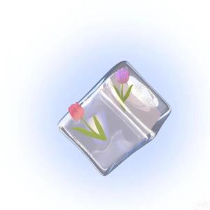 Jade Summer (Prod EVOMUSIC)