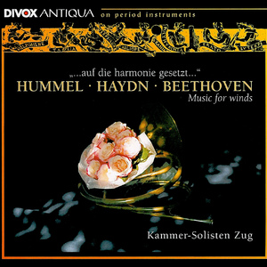 Symphony No. 70 in D Major, Hob.I:70 (arr. B. Briner):II. Specie d'un canone in contrapunto doppio