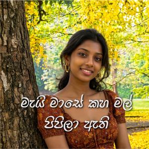 මැයි මාසේ කහ මල් පිපිලා ඇති (May Maasay Kaha Mal)
