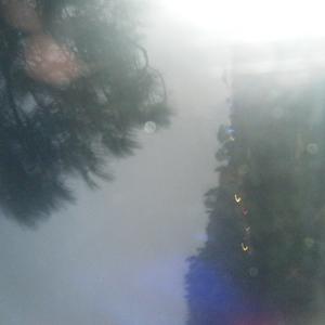 snakeskin (feat. gauze)