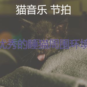 精彩睡猫环境