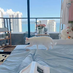 大眠 （cover小乐哥）