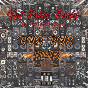Not Fakes Tracks BYE BYE (feat. Moonè)