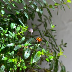 6 Años (feat. Astro-bit)